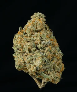 Buy Amaretto Mintz THCA