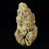 Buy Gelato #41 THCA