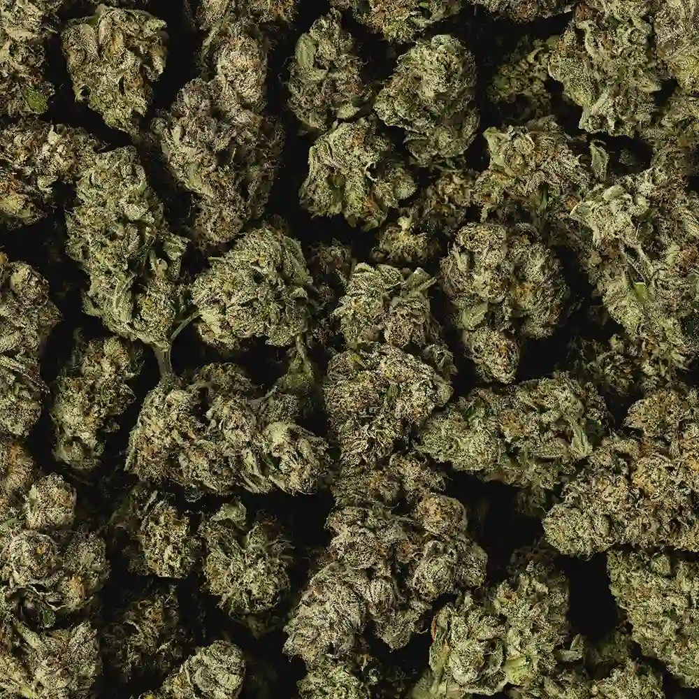 Buy Chroma - Image 2