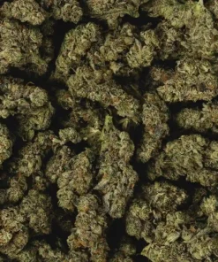 Alternative view of Buy French Kisz