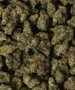 Alternative view of Buy French Lotus