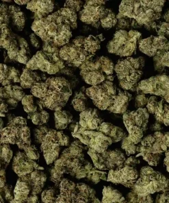 Alternative view of Buy Runtz