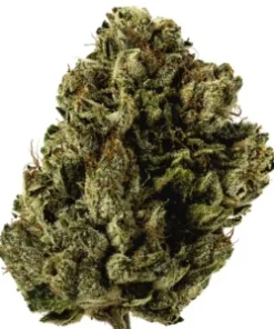 Alternative view of Buy Kobe OG