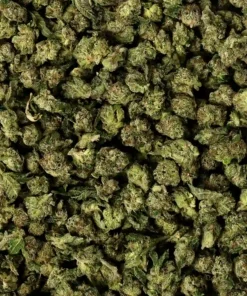 Alternative view of Buy Gumbo Smalls