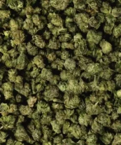 White Cherry Gelato Smalls