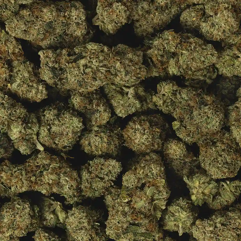 Buy 818 OG - Image 3