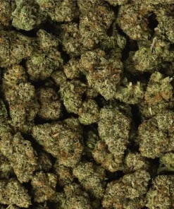 Alternative view of Buy Billy Kimber OG