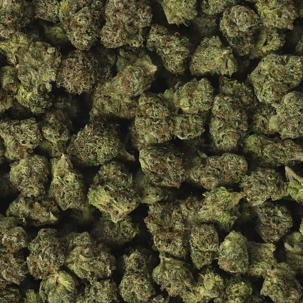 Buy 818 OG - Image 2