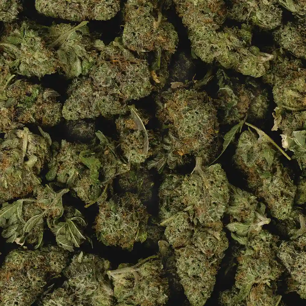 Buy Zkittlez - Image 2