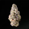 Buy Purple Punch THCA