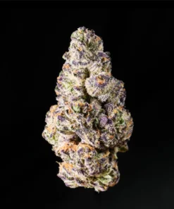 Buy Purple Punch THCA