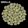 Buy White Ash THCA
