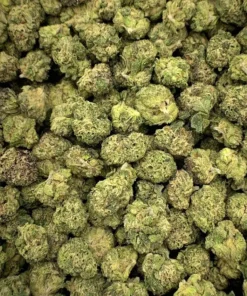 Alternative view of Buy BubbleGum Runtz