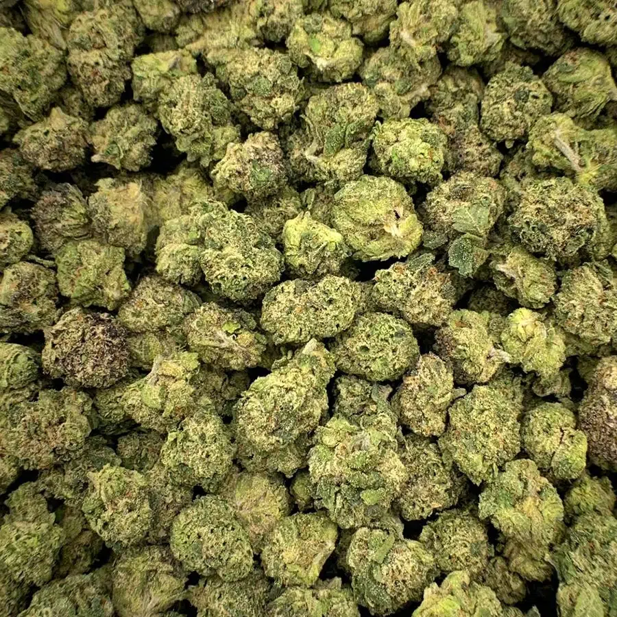 Buy BubbleGum Runtz - Image 2