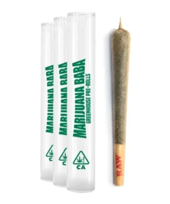 Buy Marijuana Baba Greenhouse Single Preroll